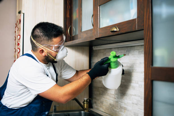 Best Pest Control for Restaurants  in Herald, CA