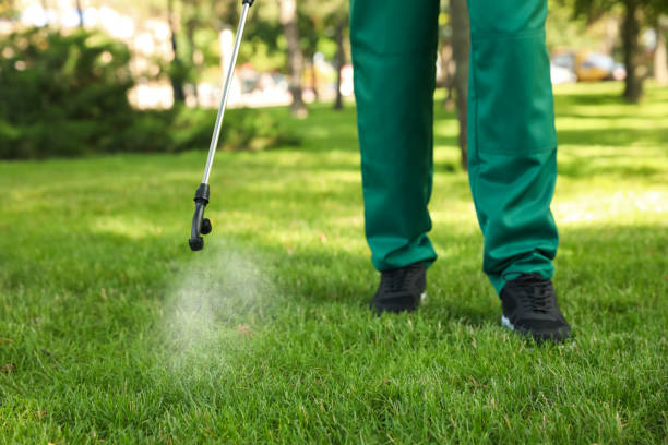 Best Residential Pest Control  in Herald, CA