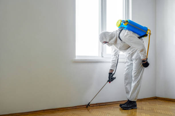 Best Affordable Pest Control Services  in Herald, CA