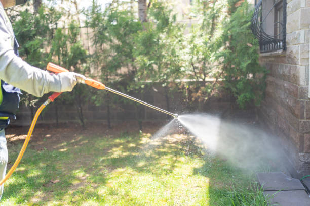 Best Affordable Pest Control Services  in Herald, CA