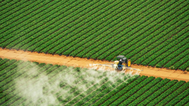 Best Commercial Pest Control Services  in Herald, CA