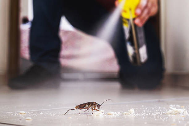 Best Pest Removal Services  in Herald, CA
