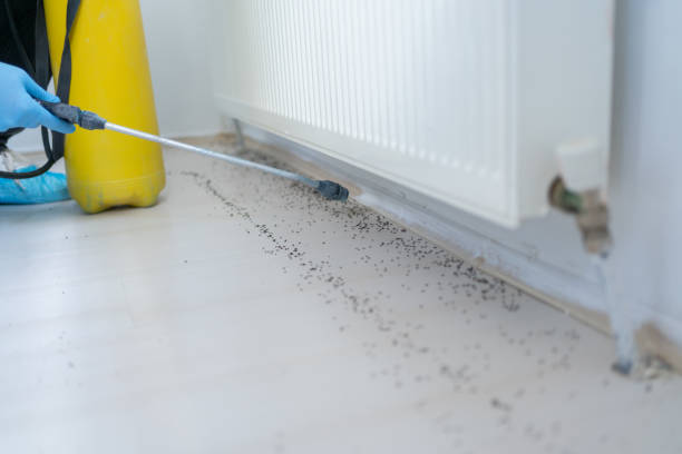Best Cockroach Control Services  in Herald, CA