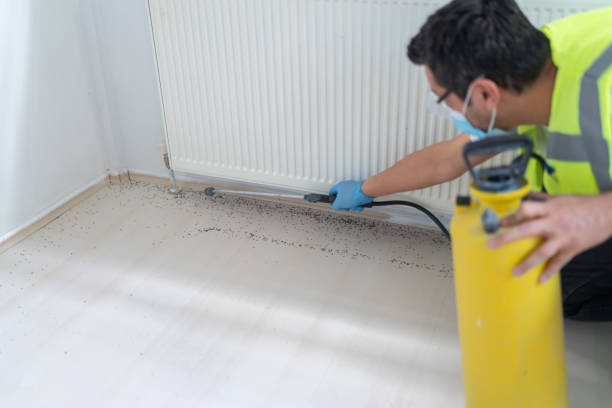 Best Emergency Pest Control  in Herald, CA