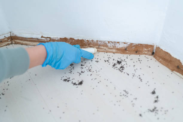 Best Wildlife Control Services  in Herald, CA