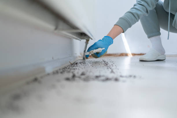 Best Termite Control Services  in Herald, CA